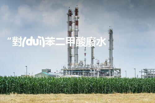 “對(duì)苯二甲酸廢水處理，綠色創(chuàng)新引領(lǐng)環(huán)保新篇章”