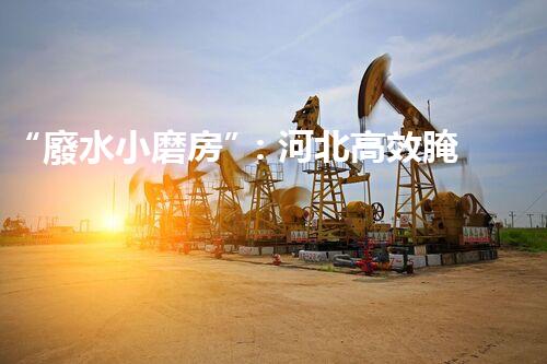 “廢水小磨房”：河北高效腌制廢水處理方法探析