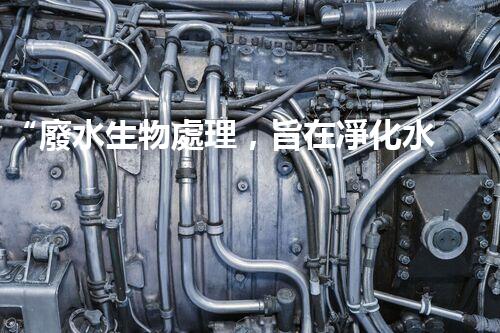 “廢水生物處理，旨在凈化水源，守護碧水藍天”