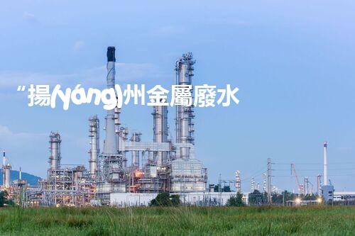 “揚(yáng)州金屬廢水凈化技術(shù)：實現(xiàn)環(huán)保與資源共享”