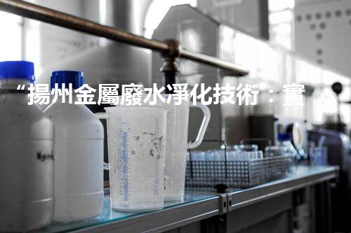 “揚州金屬廢水凈化技術：實現(xiàn)環(huán)保與資源共享”