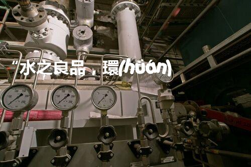 “水之良品，環(huán)保先行”——廢水處理知名公司專業(yè)服務(wù)