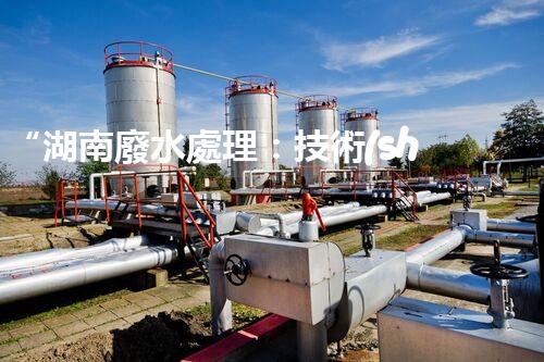 “湖南廢水處理：技術(shù)升級與治理成效”