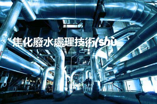 “焦化廢水處理技術(shù)與實(shí)踐研究”