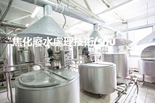 “焦化廢水處理技術(shù)與實踐研究”