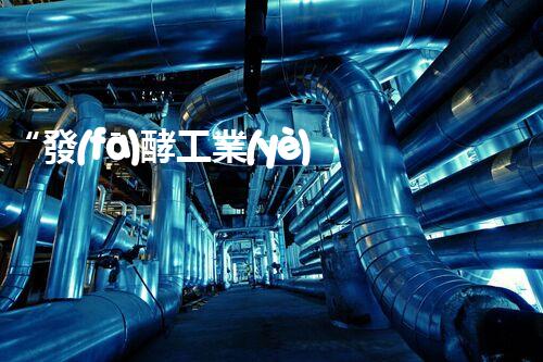 “發(fā)酵工業(yè)廢水處理，綠色創(chuàng)新引領(lǐng)環(huán)保新篇章”