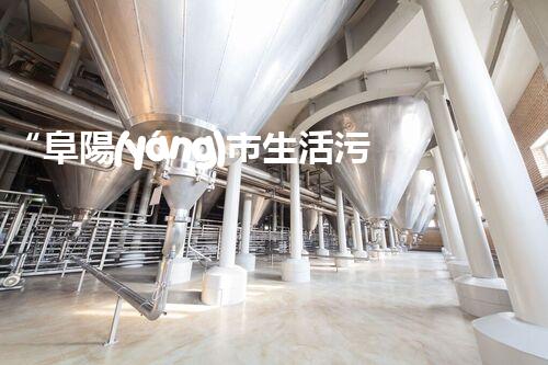 “阜陽(yáng)市生活污水處理方案及成效分析”