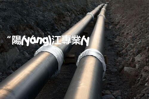 “陽(yáng)江專業(yè)廢水處理：讓環(huán)保更簡(jiǎn)單”
