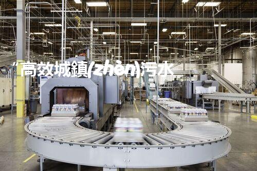 “高效城鎮(zhèn)污水處理流程，守護碧水藍(lán)天新篇章”