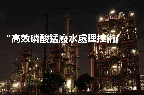 “高效磷酸錳廢水處理技術(shù)及應(yīng)用研究”