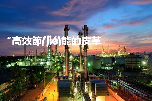 “高效節(jié)能的皮革廢水處理設備解決方案”