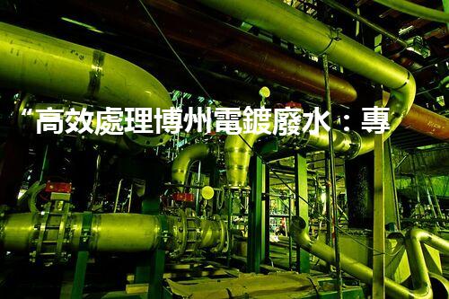 “高效處理博州電鍍廢水：專家分享水處理技巧與經驗”