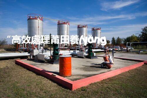 “高效處理莆田養(yǎng)殖廢水，建設綠色水域”