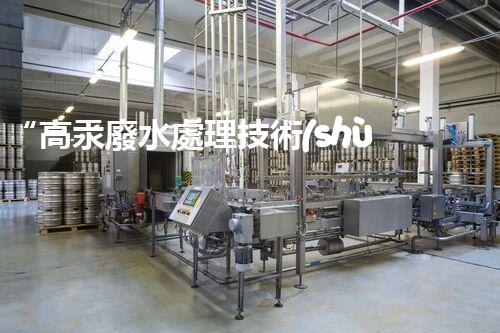 “高汞廢水處理技術(shù)，綠色環(huán)保新篇章”
