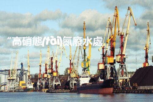 “高硝態(tài)氮廢水處理，綠色環(huán)保新篇章”
