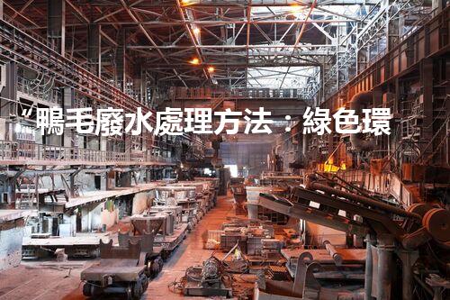 “鴨毛廢水處理方法：綠色環(huán)保的新選擇”