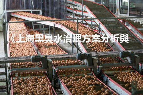 《上海黑臭水治理方案分析與實(shí)踐》