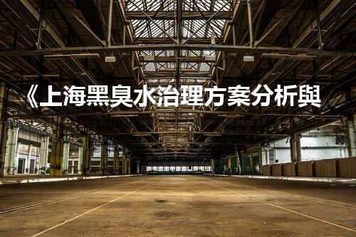 《上海黑臭水治理方案分析與實踐》