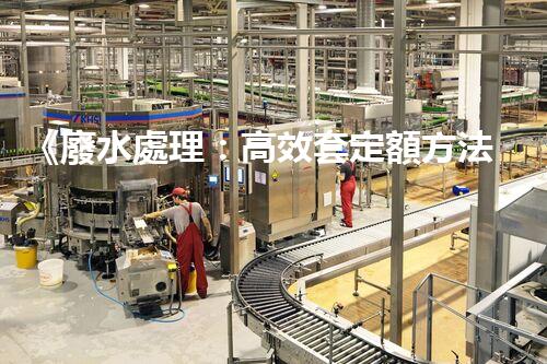 《廢水處理：高效套定額方法》