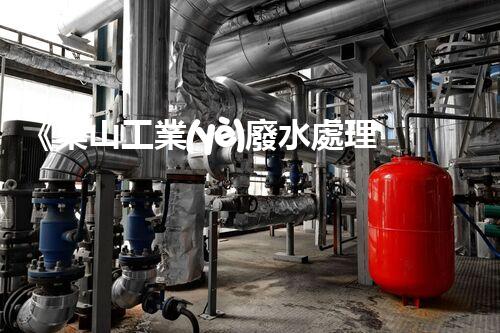 《樂山工業(yè)廢水處理系統(tǒng)的優(yōu)化設計方案》