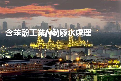 含苯酚工業(yè)廢水處理的創(chuàng)新技術與以后展望？