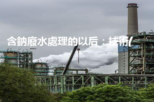 含鈉廢水處理的以后：技術(shù)革新與環(huán)保挑戰(zhàn)！