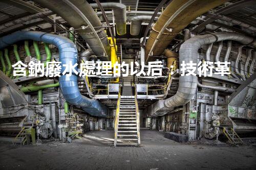 含鈉廢水處理的以后：技術革新與環(huán)保挑戰(zhàn)！