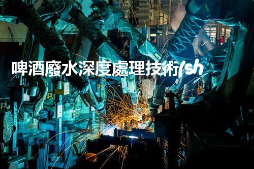 啤酒廢水深度處理技術(shù)探究與畢業(yè)設(shè)計實踐！