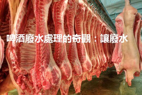 啤酒廢水處理的奇觀：讓廢水變黃金？