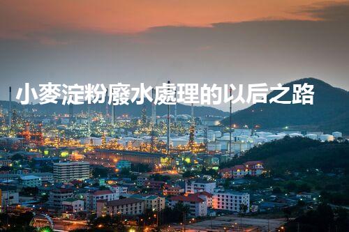 小麥淀粉廢水處理的以后之路：創(chuàng)新與可持續(xù)進(jìn)展？