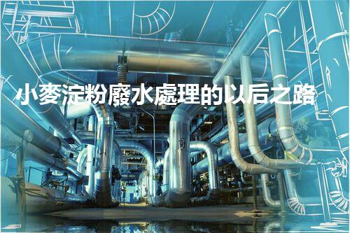 小麥淀粉廢水處理的以后之路：創(chuàng)新與可持續(xù)進展？
