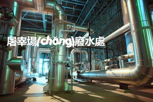 屠宰場(chǎng)廢水處理工藝的創(chuàng)新與以后？