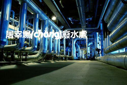 屠宰場(chǎng)廢水處理技術(shù)革新：環(huán)保之路有何新進(jìn)展？