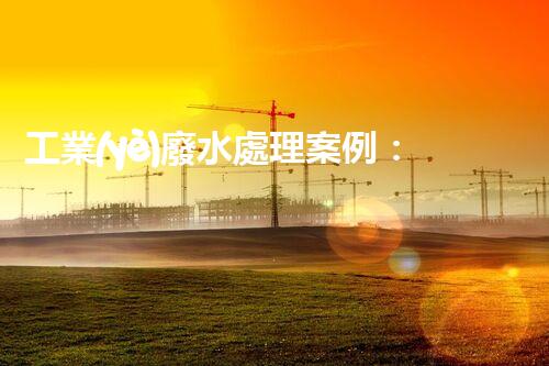 工業(yè)廢水處理案例：揭秘高效凈化背后的技術(shù)奇觀！