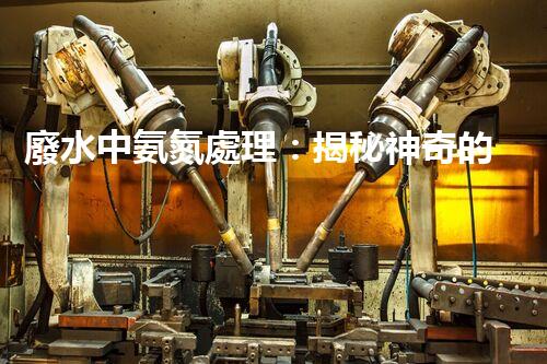 廢水中氨氮處理：揭秘神奇的氨氮轉化術！