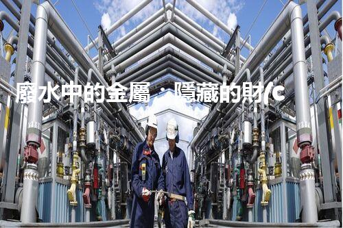廢水中的金屬：隱藏的財(cái)富還是潛在威脅？