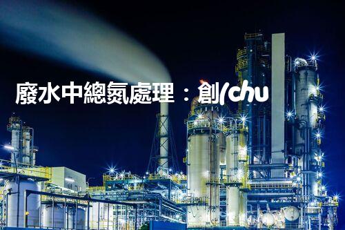 廢水中總氮處理：創(chuàng)新技術(shù)，實(shí)現(xiàn)環(huán)境保護(hù)與資源回收！