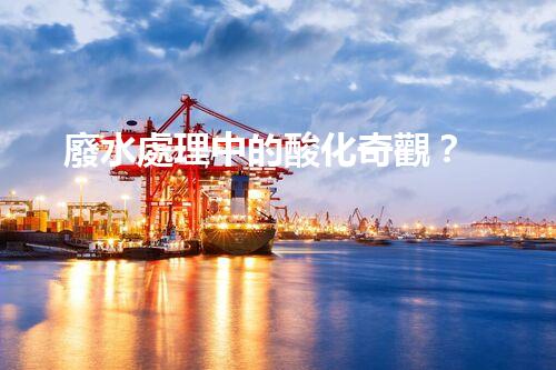 廢水處理中的酸化奇觀？