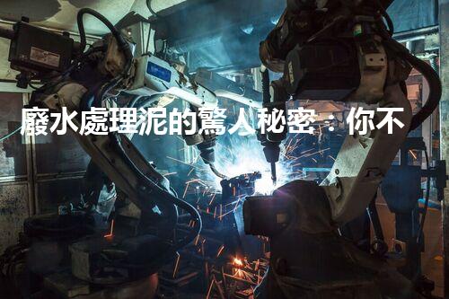 廢水處理泥的驚人秘密：你不明白的環(huán)保新突破！