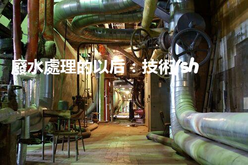 廢水處理的以后：技術(shù)創(chuàng)新與環(huán)境挑戰(zhàn)？