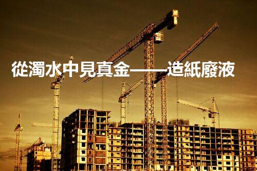從濁水中見真金——造紙廢液處理流程揭秘