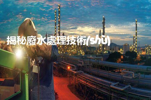 揭秘廢水處理技術(shù)及工程實(shí)例叢書的隱藏奧秘？