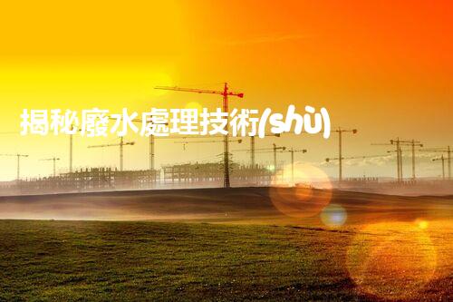 揭秘廢水處理技術(shù)及工程實例叢書的隱藏奧秘？