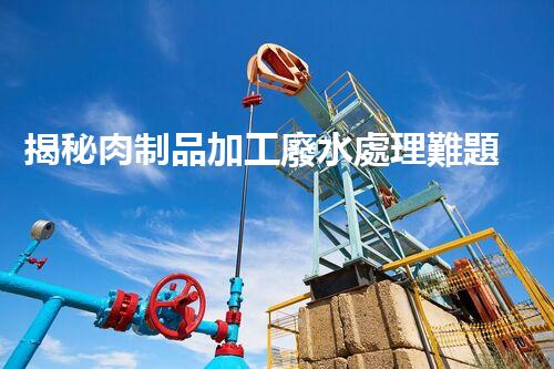 揭秘肉制品加工廢水處理難題！高效低耗的秘訣究竟是什么？