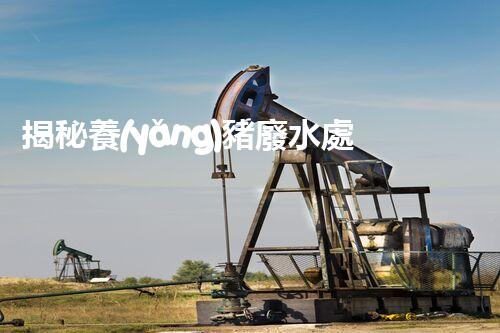 揭秘養(yǎng)豬廢水處理技術方案的革命性突破！