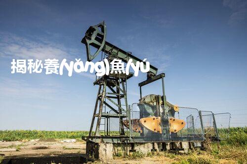 揭秘養(yǎng)魚(yú)廢水處理的革命性技術(shù)？