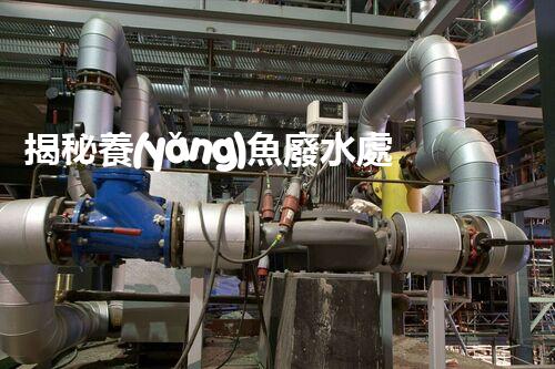 揭秘養(yǎng)魚廢水處理的革命性技術？
