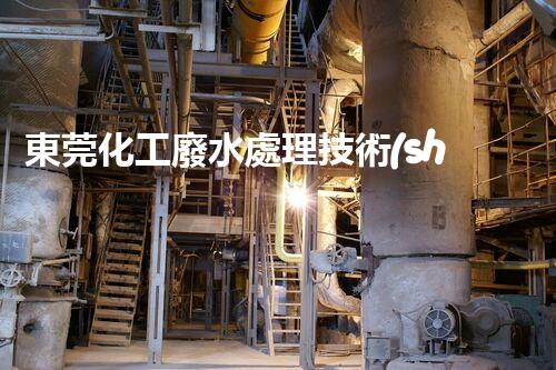 東莞化工廢水處理技術(shù)：新進展與前景展望