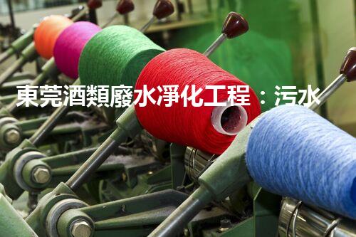 東莞酒類廢水凈化工程：污水治理經(jīng)驗與技術分享