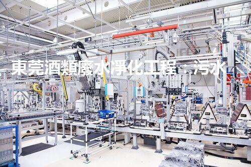 東莞酒類廢水凈化工程：污水治理經驗與技術分享